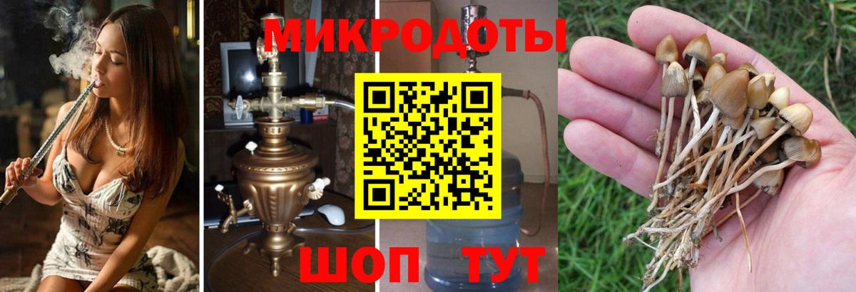 Галлюциногенные грибы мухоморы Заречный
